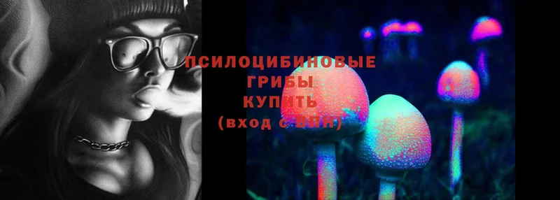 Псилоцибиновые грибы Psilocybe  магазин продажи наркотиков  нарко площадка клад  Знаменск 